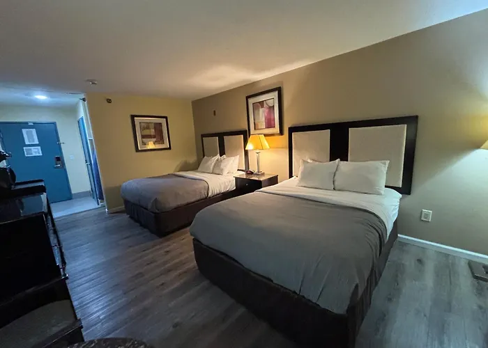 Hotel Quality & Near Geneva