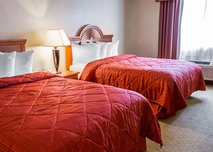 Quality & Near Geneva Hotel