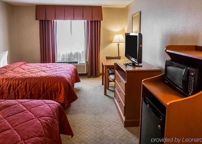 Hotel Quality & Near Geneva