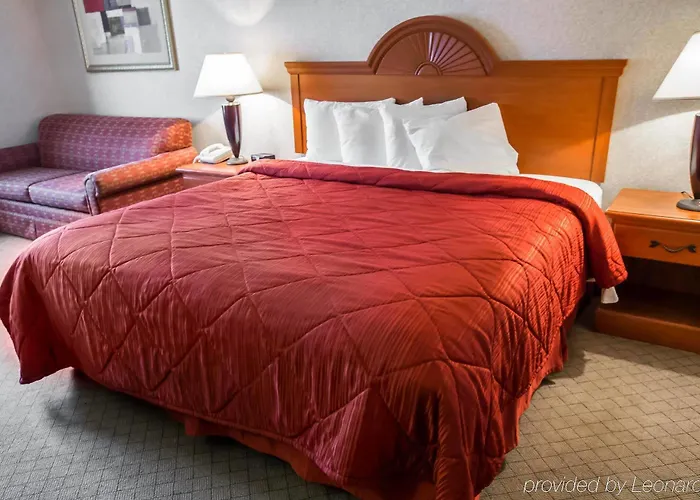 Hotel Quality & Near Geneva